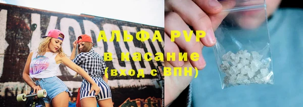 PSILOCYBIN Балабаново