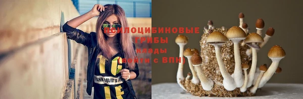 дмт Баксан