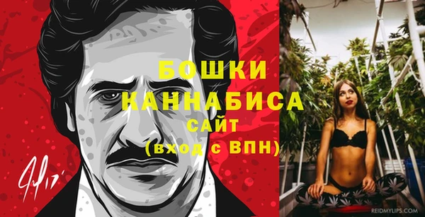 PSILOCYBIN Балабаново