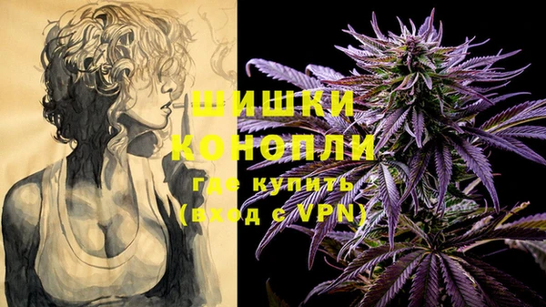 PSILOCYBIN Балабаново