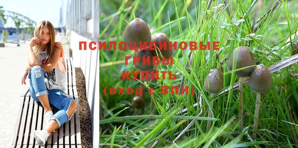 PSILOCYBIN Балабаново