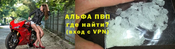PSILOCYBIN Балабаново